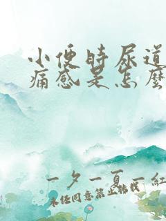 小便时尿道有刺痛感是怎么回事