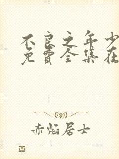 不良之年少轻狂免费全集在线观看