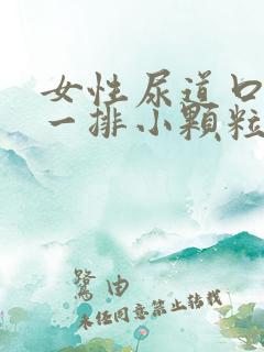 女性尿道口长了一排小颗粒