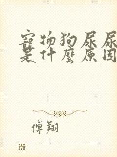 宠物狗尿尿有血是什么原因