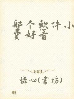 哪个软件小说免费好看