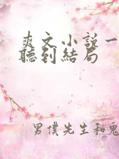 爽文小说一口气听到结局