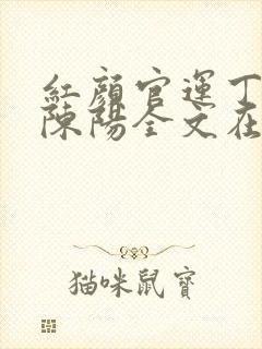 红颜官运丁若烟陈阳全文在线阅读