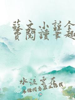苏文小说全文免费阅读笔趣阁