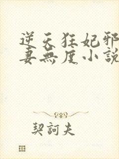 逆天狂妃邪王宠妻无度小说免费阅读