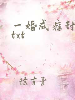 一婚成瘾封以漠txt