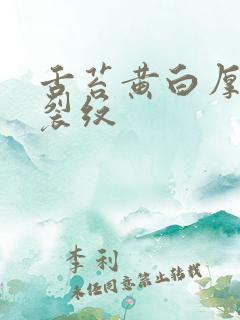 舌苔黄白厚腻有裂纹