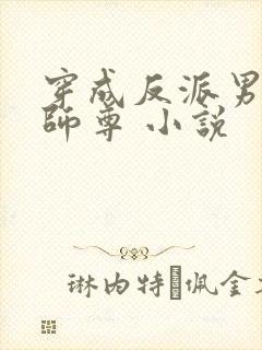 穿成反派男主的师尊 小说