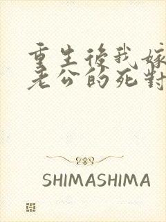 重生后我嫁给了老公的死对头 短剧