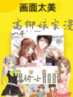 高柳嫁家漫画1~4