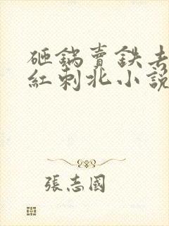 砸锅卖铁去上学红刺北小说未删版