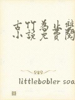 古竹为止双男主小说免费阅读笔趣阁