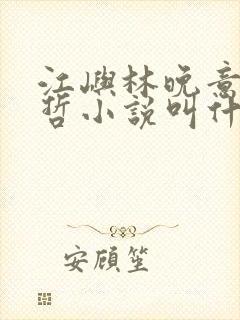 江屿林晚意沈修哲小说叫什么名字