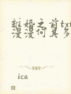 离婚之前txt漫漫何其多