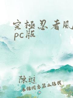 究极忍者风暴4 pc版