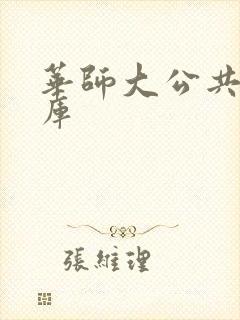 华师大公共数据库