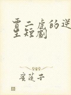 贾二虎的逆袭人生短剧