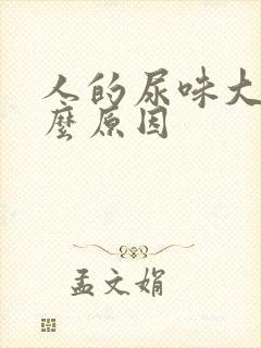 人的尿味大是什么原因