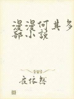 漫漫何其多的全部小说