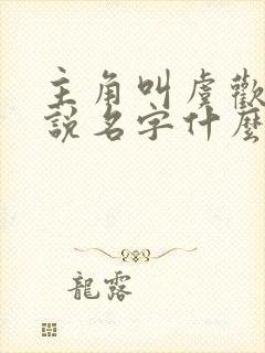 主角叫虞欢的小说名字什么