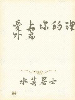 爱上你的理由番外篇