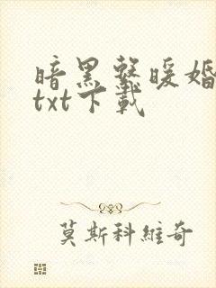 暗黑系暖婚下载txt下载