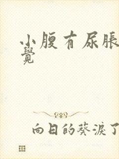 小腹有尿胀的感觉