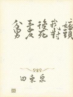 分手后我嫁给前男友死对头