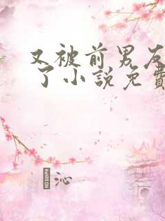 又被前男友盯上 了小说免费阅读全文笔趣阁