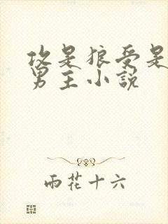 攻是狼受是人双男主小说