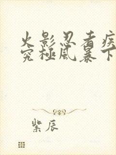 火影忍者疾风传究极风暴下载