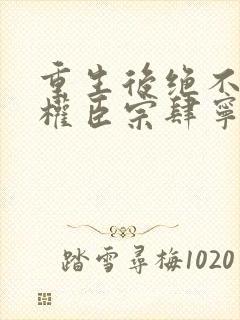 重生后绝不嫁给权臣宗肆宁芙小说