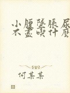 小腹坠胀尿频尿不尽吃什么药