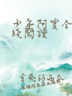 少年阿宾全本在线阅读