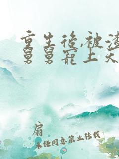 重生后,被渣男舅舅宠上天短剧