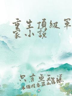 重生顶级军政世家小说