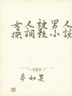 女人被男人狠狠操调教小说