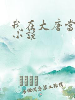 我在大唐当闲王小说