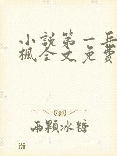 小说第一兵王于枫全文免费阅读