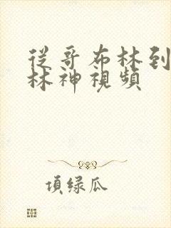 从哥布林到哥布林神视频