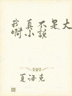 我真不是大反派啊小说