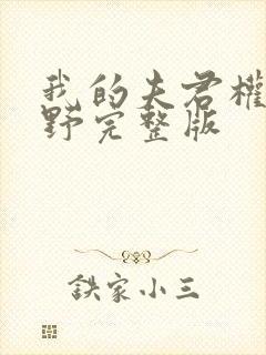 我的夫君权倾朝野完整版