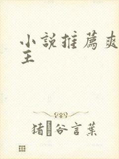 小说推荐爽文女主