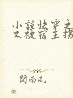 小说快穿之反派又被宿主拐跑了免费