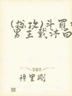 (总攻)斗罗双男主戴沐白