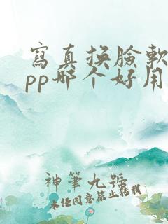 写真换脸软件app哪个好用