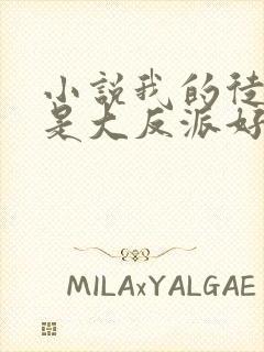 小说我的徒弟都是大反派好看么