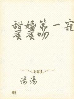 甜婚第一宠总裁蜜蜜吻