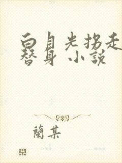 白月光拐走了小替身 小说