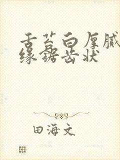 舌苔白厚腻舌边缘锯齿状